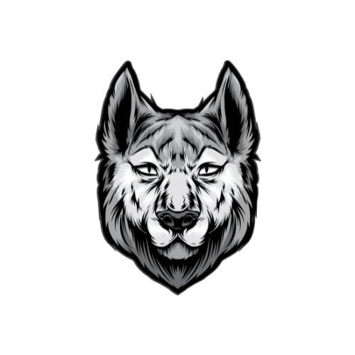 ALPHA SECURITE PRIVEE